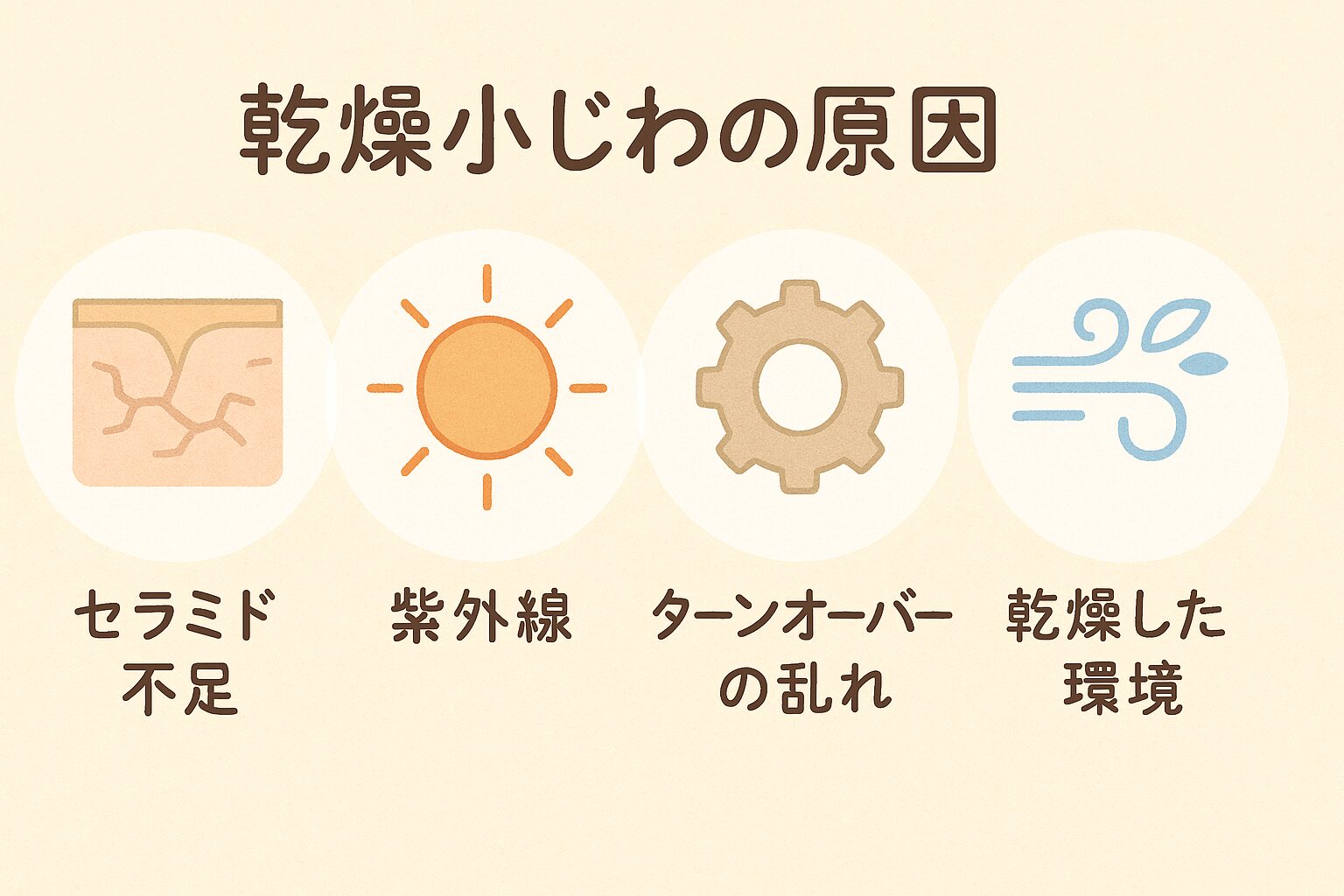 「乾燥小じわの原因(セラミド不足・紫外線・ターンオーバーの乱れ・乾燥環境)を図解で表したイラスト